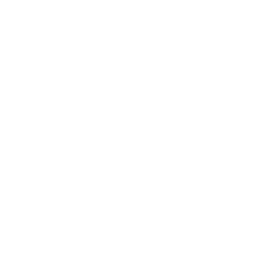 iRobot Corporation Share Price